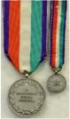 Itali�: Medaille voor Verdienste in Cultuur en Kunst (Medaglia ai benemeriti della cultura e dell'arte) in zilver. Ingesteld 1950. Maker: Cravanzola, Roma. Inclusief cassette en miniatuur. Prijs: �.65,-